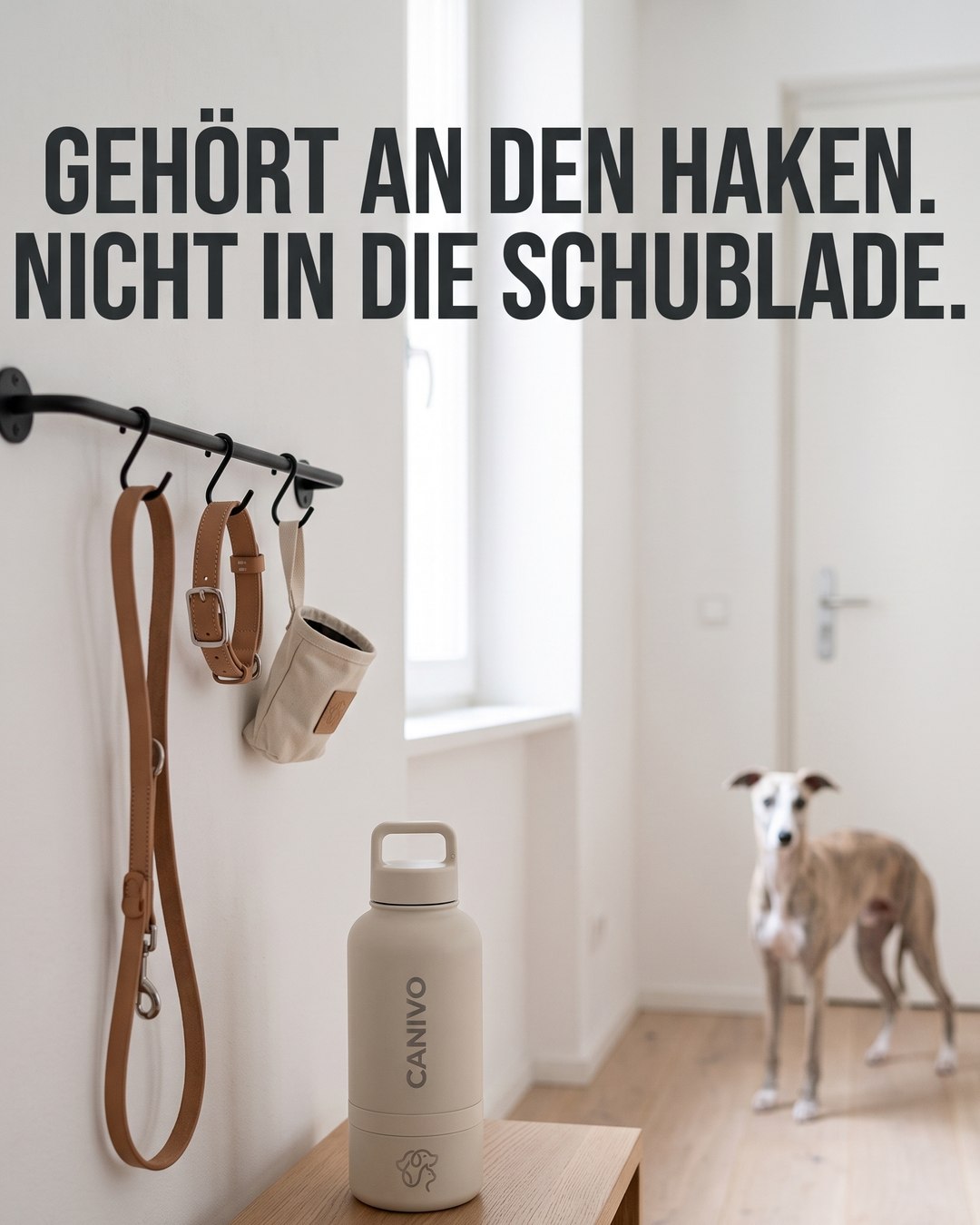 Gehört an den Haken, nicht in die Schublade. #canivo #gassi