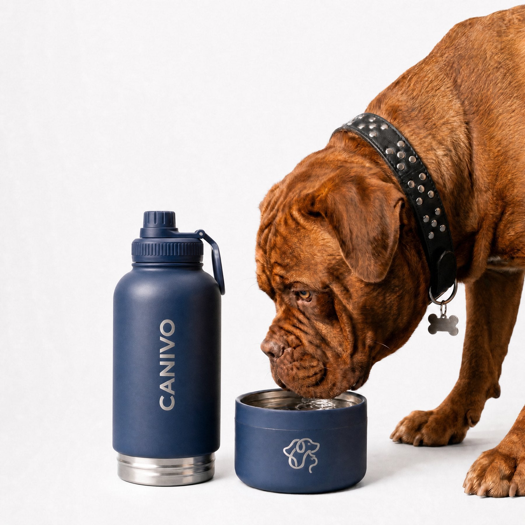 Hund trinkt aus dem Napf der Midnight-Navy-Flasche