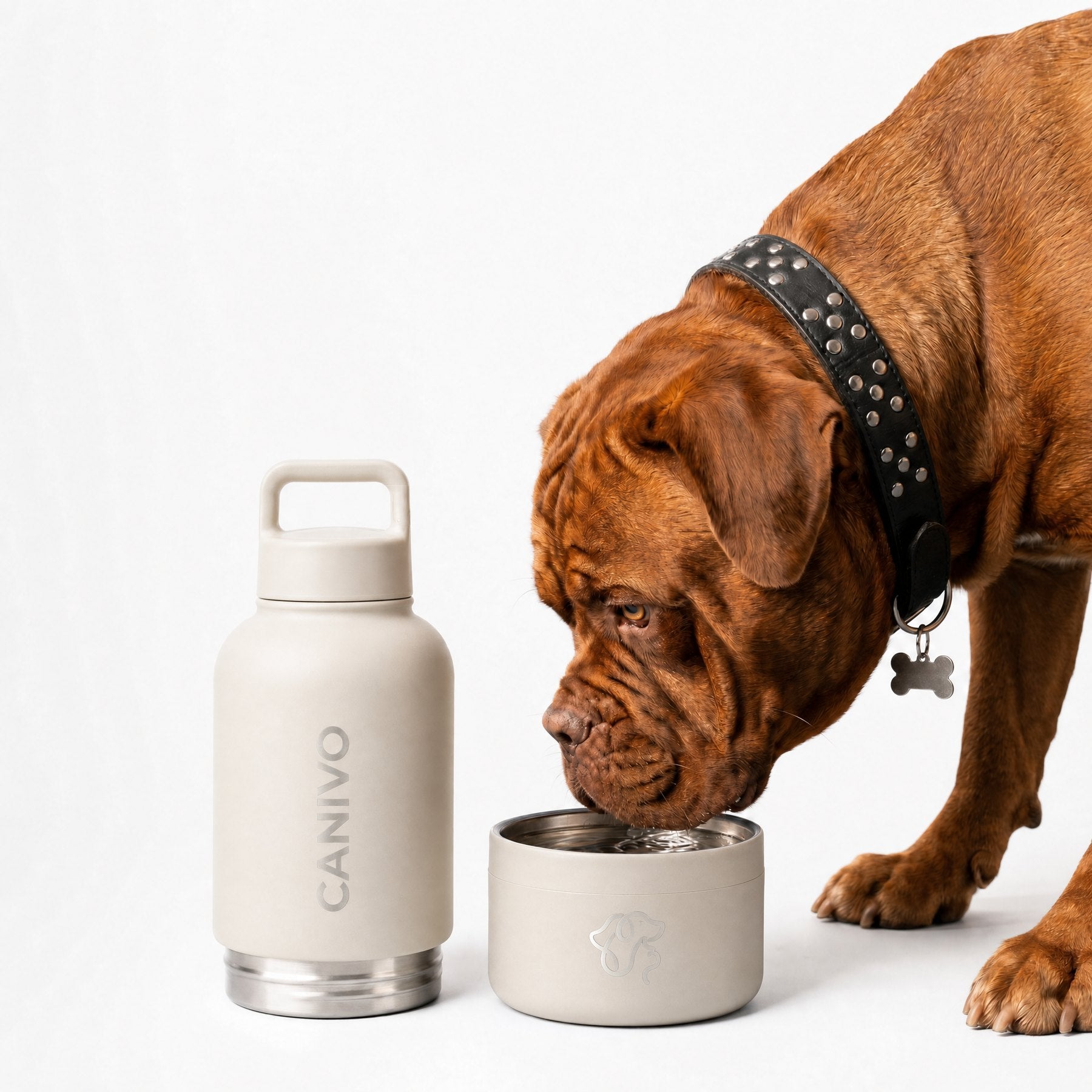 Hund trinkt aus dem Napf der Oat-Creme-Flasche