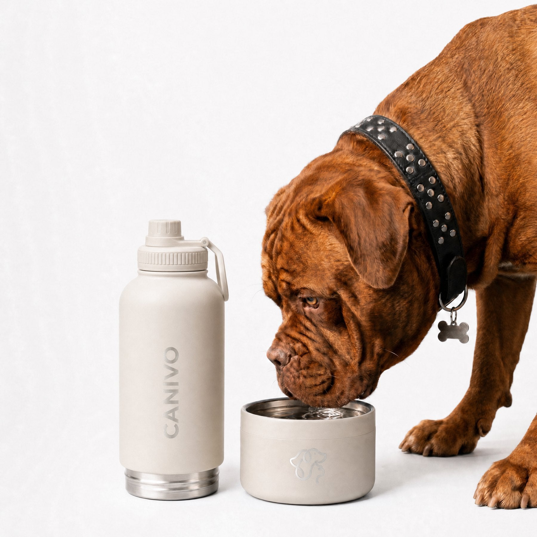 Hund trinkt aus dem Napf der Oat-Creme-Flasche